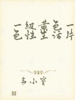 一级黄色一级黄色性生活片封面