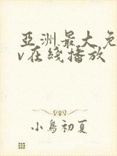 亚洲最大免费av在线播放