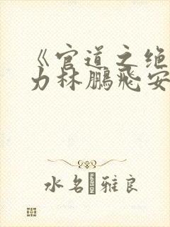 《官道之绝对权力林鹏飞安江》阅读全文