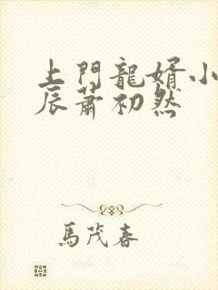 上门龙婿小说叶辰萧初然