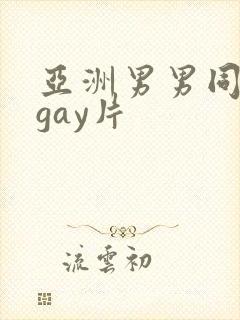 亚洲男男同性恋gay片