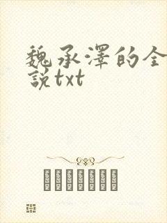 魏承泽的全部小说txt