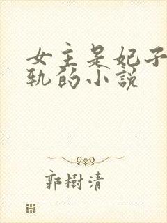 女主是妃子却出轨的小说