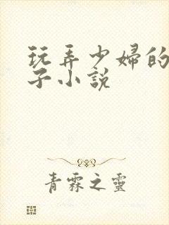 玩弄少妇的大奶子小说