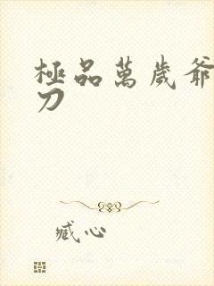 极品万岁爷 妖刀