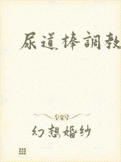 尿道棒调教h封面