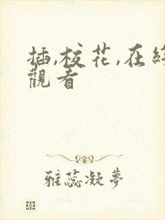 插,校花,在线观看