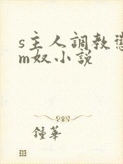 s主人调教惩罚m奴小说封面