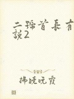 二号首长有声小说2