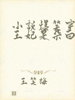 小说爆笑穿越:王妃是朵白莲花免费下载