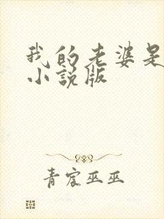 我的老婆是总裁小说版