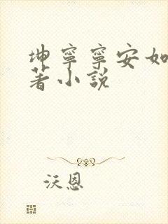 坤宁宁安如梦原著小说