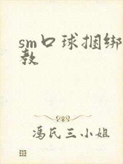 sm口球捆绑调教封面