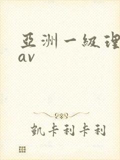 亚洲一级理伦片av
