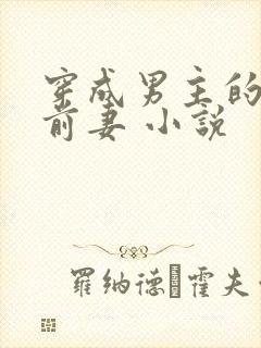 穿成男主的炮灰前妻 小说封面