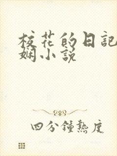 校花的日记任芷娴小说