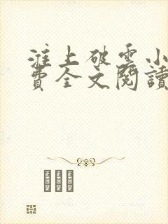 淮上破云小说免费全文阅读