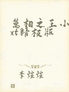 万相之王小说txt精校版封面