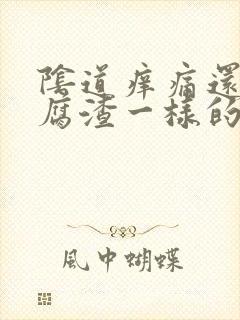 阴道痒痛还有豆腐渣一样的东西