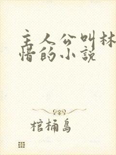 主人公叫林凡叶惜的小说