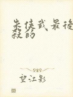 朱侠武最后被谁杀的