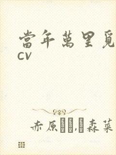 当年万里觅封侯cv