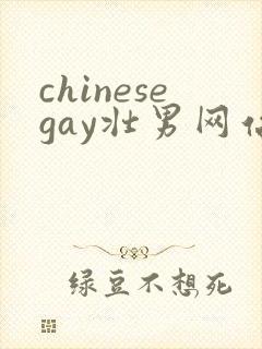 chinesegay壮男网站gvman封面