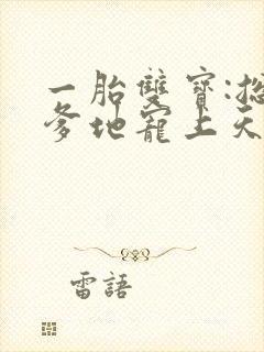 一胎双宝:总裁爹地宠上天封面