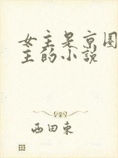 女主是京圈小公主的小说封面