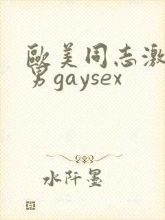 欧美同志激情猛男gaysex