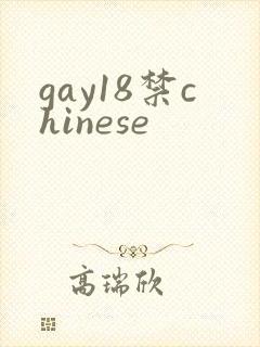 gay18禁chinese封面