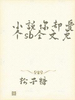 小说你却爱着一个sb全文免费阅读