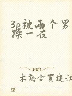 3p被两个男人躁一夜封面