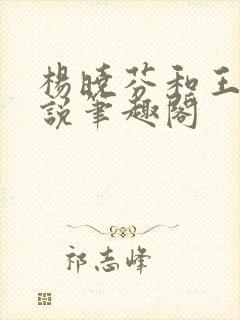 杨晓芬和王磊小说笔趣阁