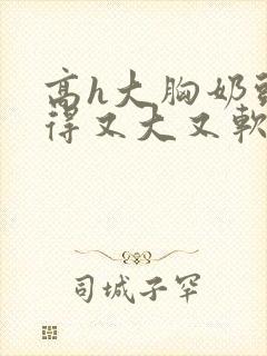 高h大胸奶头晃得又大又软