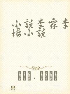 小说李霖李澜官场小说