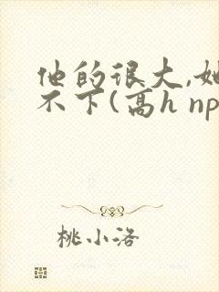 他的很大,她忍不下(高h np)封面