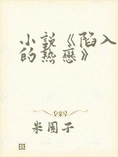 小说《陷入我们的热恋》