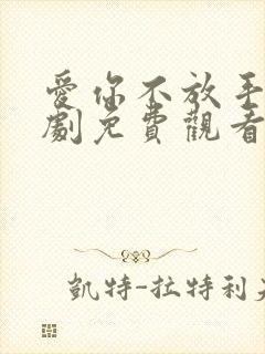 爱你不放手电视剧免费观看完整版