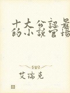 十大公认最好看的小说官场封面