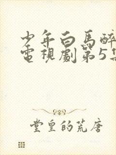 少年白马醉春风电视剧第5集