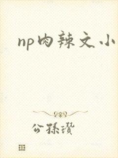 np肉辣文小说