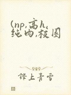 (np,高h,纯肉,校园