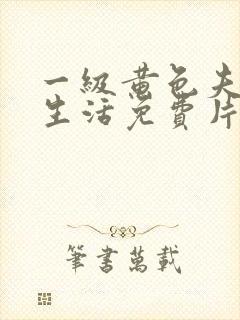 一级黄色夫妻性生活免费片