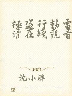 极盗行动电影高清在线观看