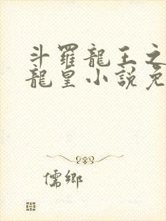 斗罗龙王之光暗龙皇小说免费阅读