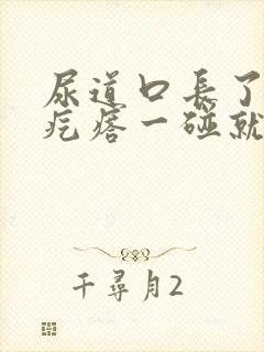 尿道口长了个肉疙瘩一碰就疼