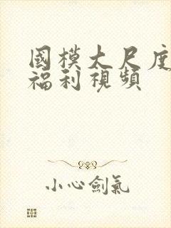 国模大尺度私拍福利视频