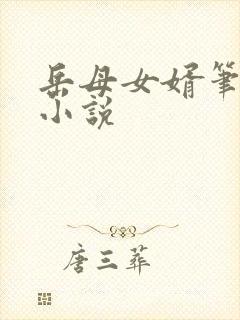 岳母女婿笔趣阁小说