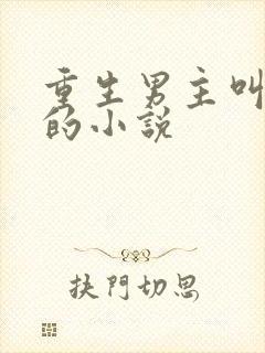 重生男主叫江辰的小说